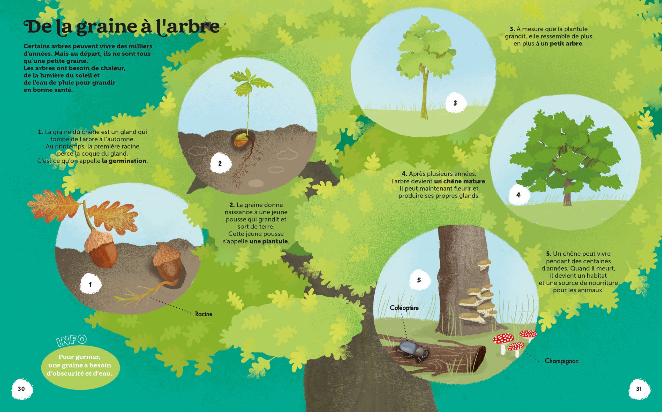 Les Merveilles de la Nature