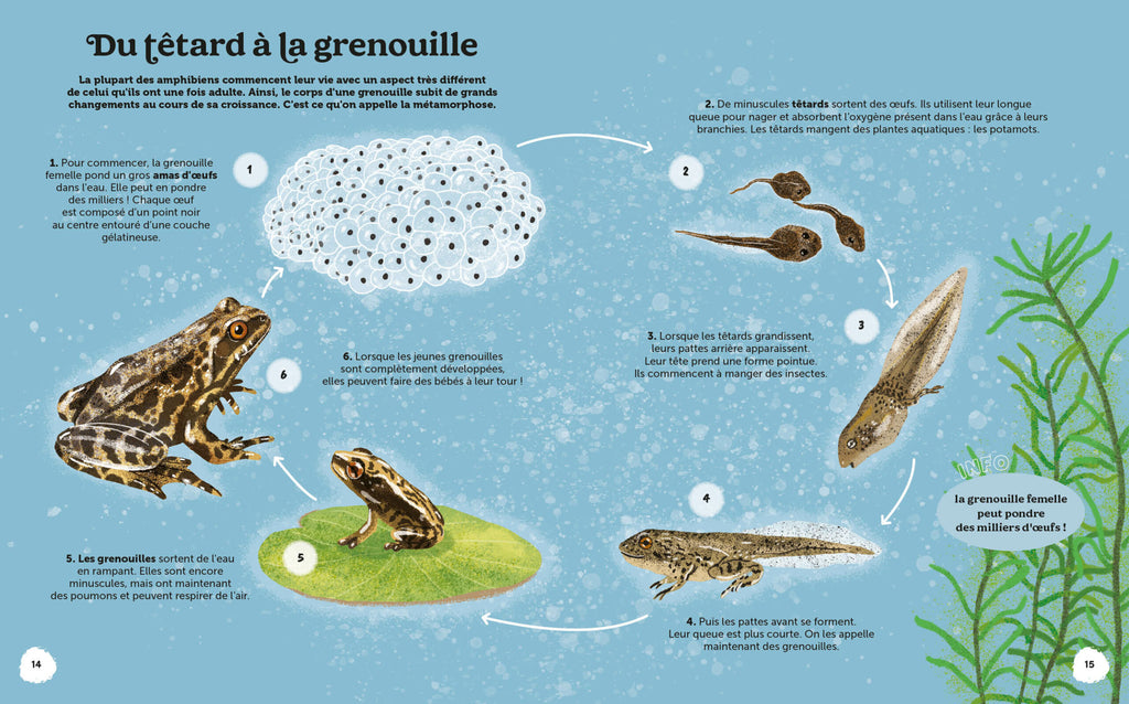 Les Merveilles de la Nature