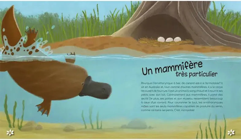 Les merveilles de la nature - 44 secrets fascinants à connaître