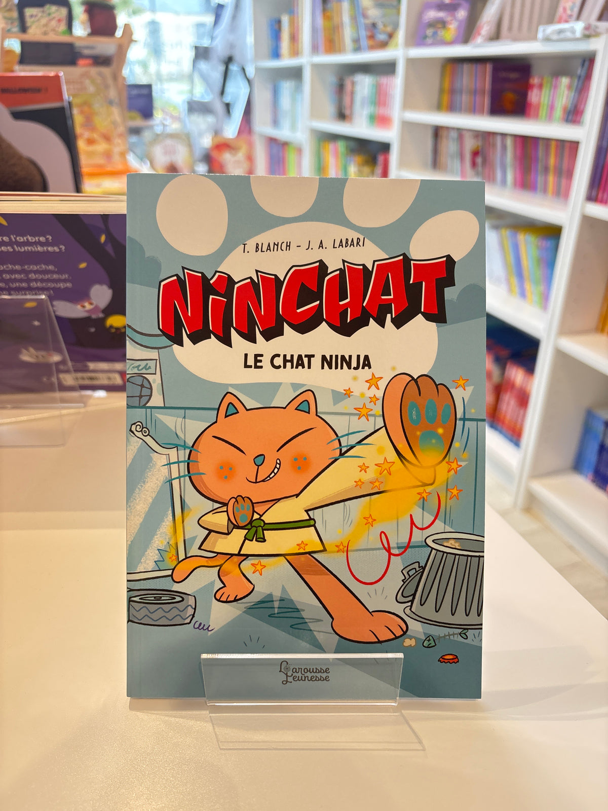 Ninchat, le chat ninja