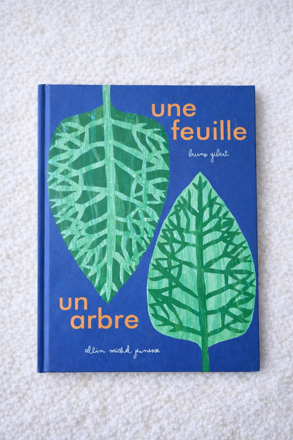 Une feuille un arbre