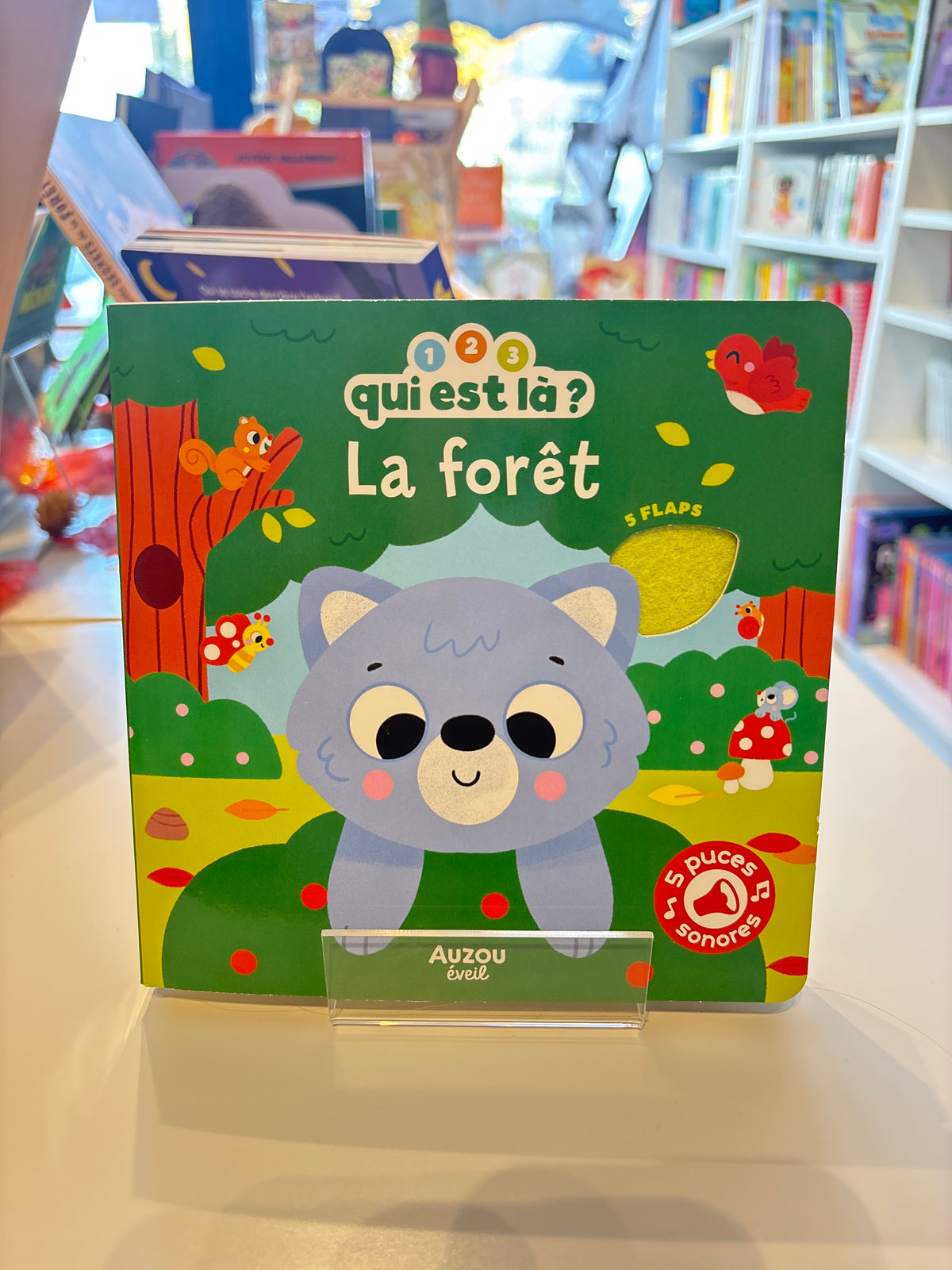 123 Qui est là ? La forêt