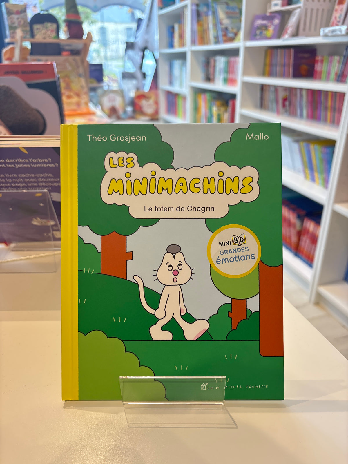 Les minimachins, le totem de chagrin