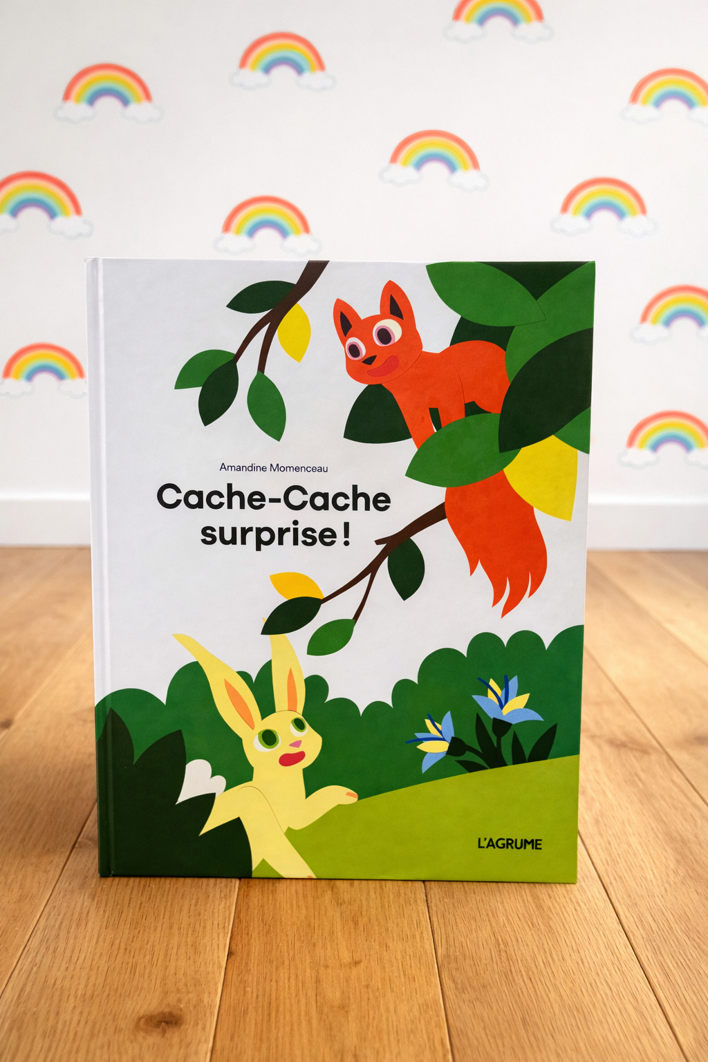 Cache-cache surprise !