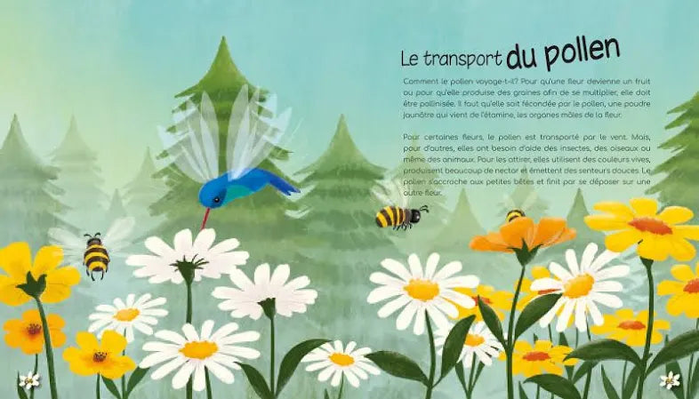Les merveilles de la nature - 44 secrets fascinants à connaître