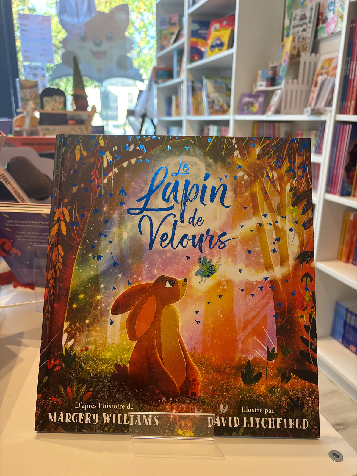 Le Lapin de Velours