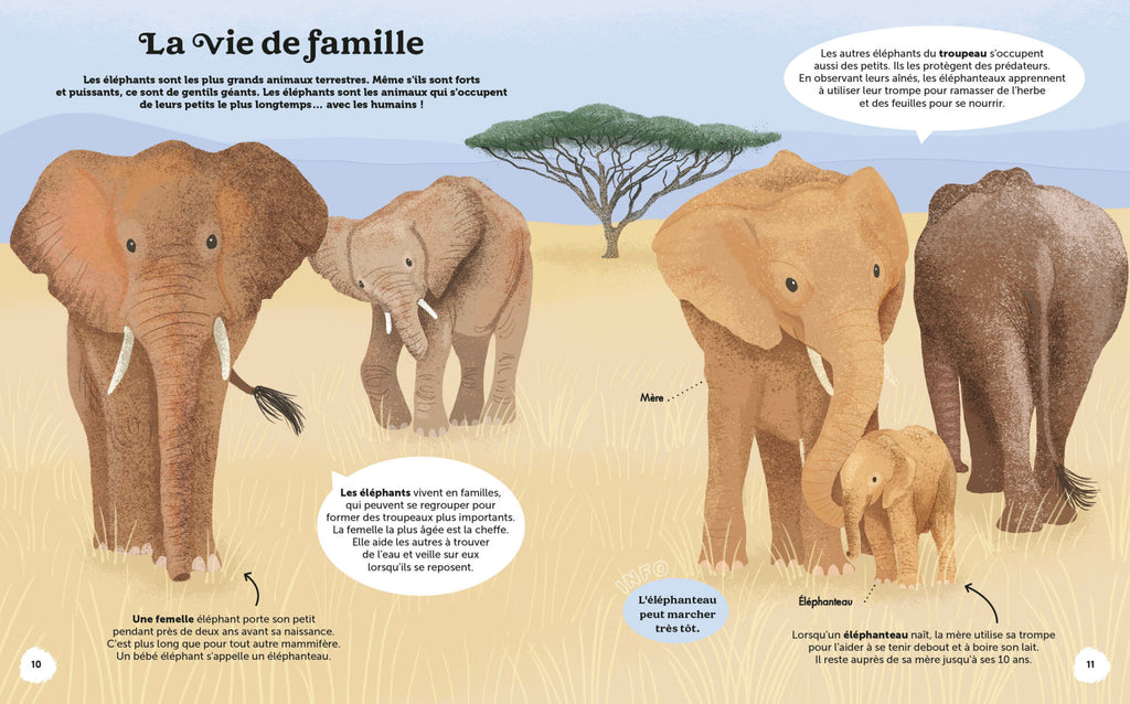 Les Merveilles de la Nature