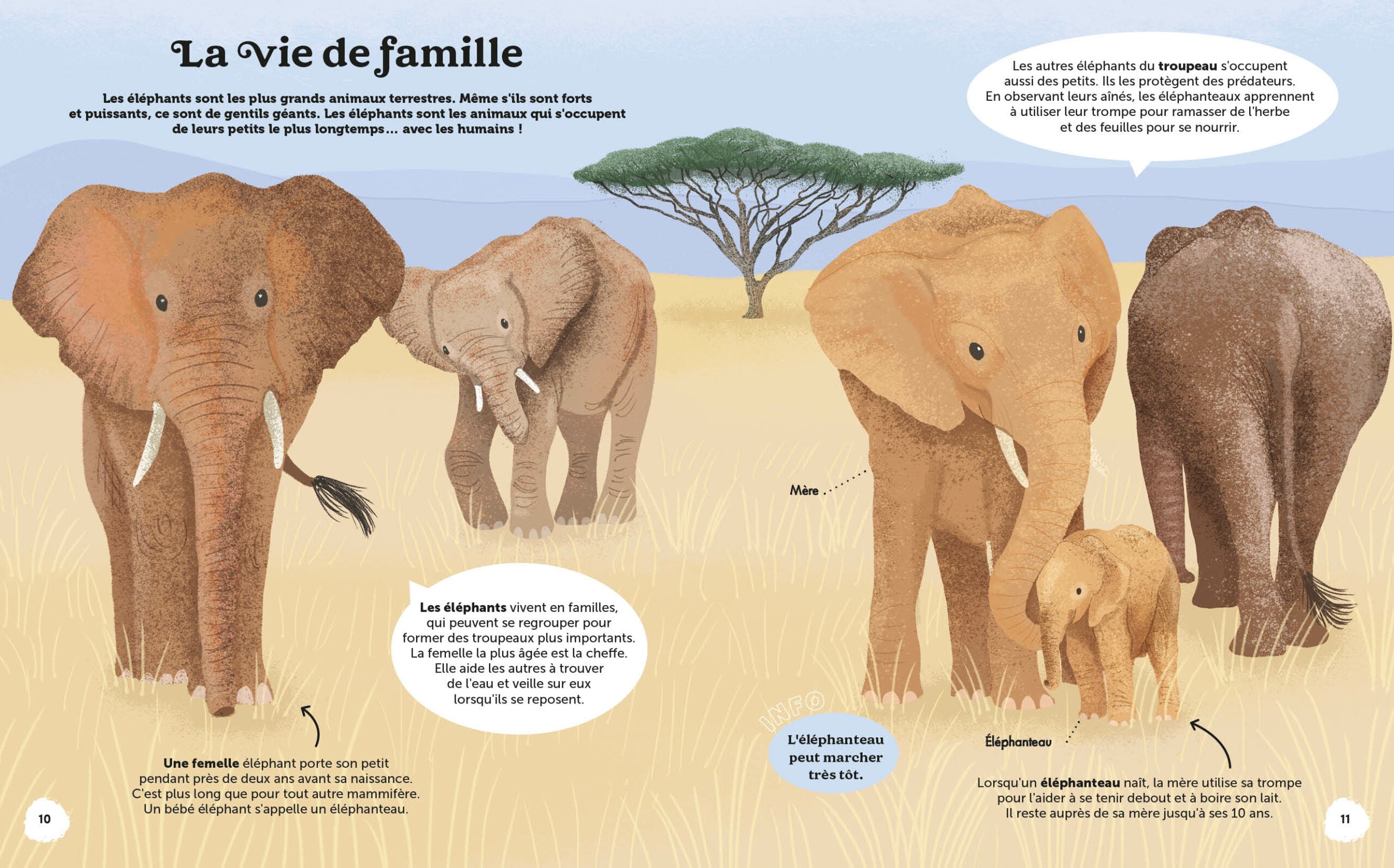 Les Merveilles de la Nature