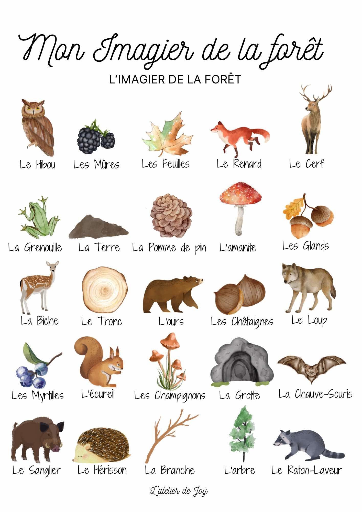 Affiche éducative offerte