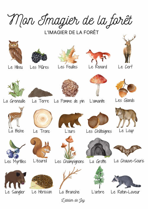 Affiche éducative offerte