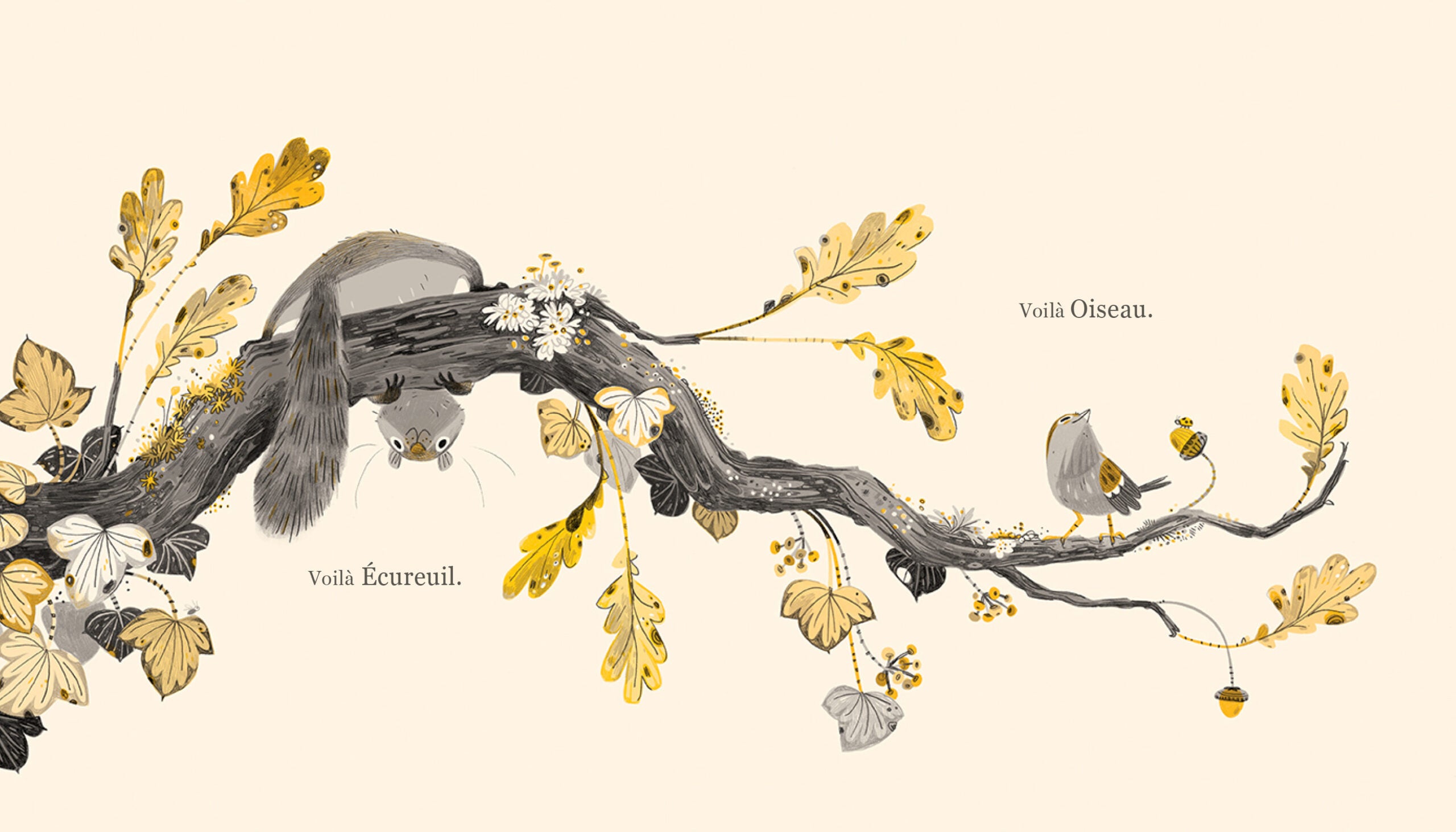 Écureuil et oiseau