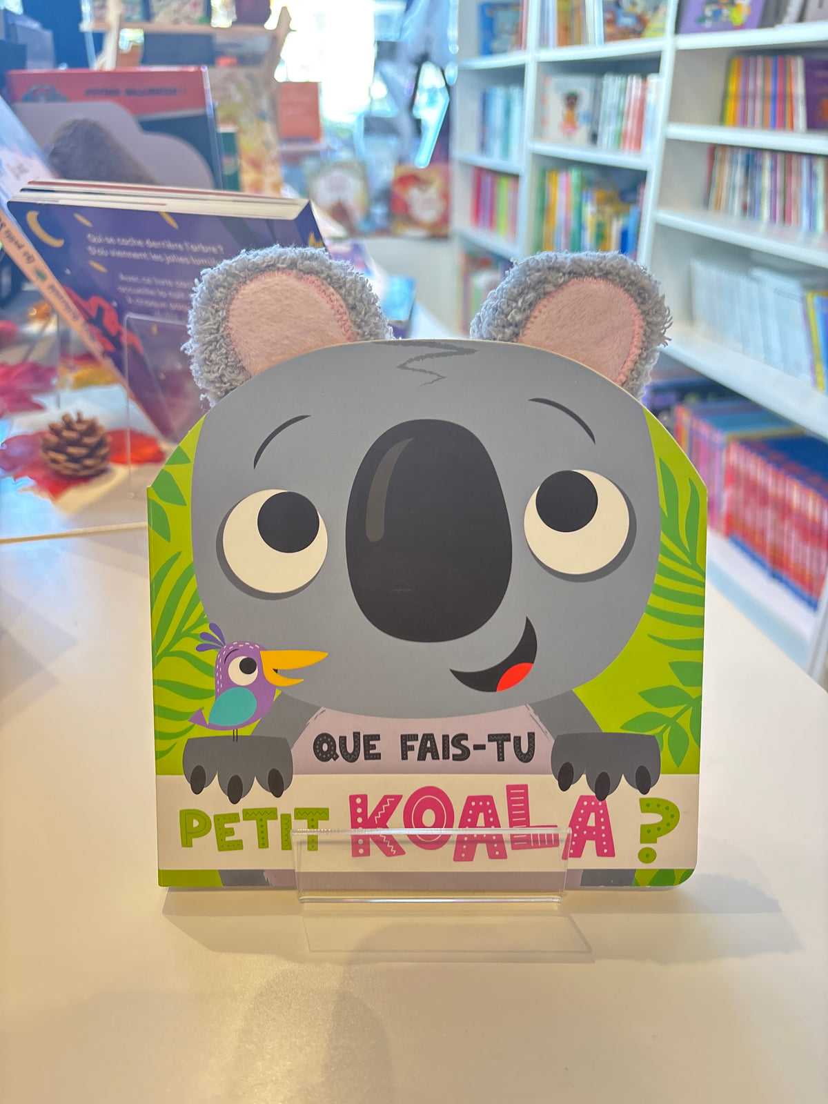 Que fais-tu, petit koala ?